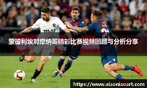 蒙彼利埃对摩纳哥精彩比赛视频回顾与分析分享